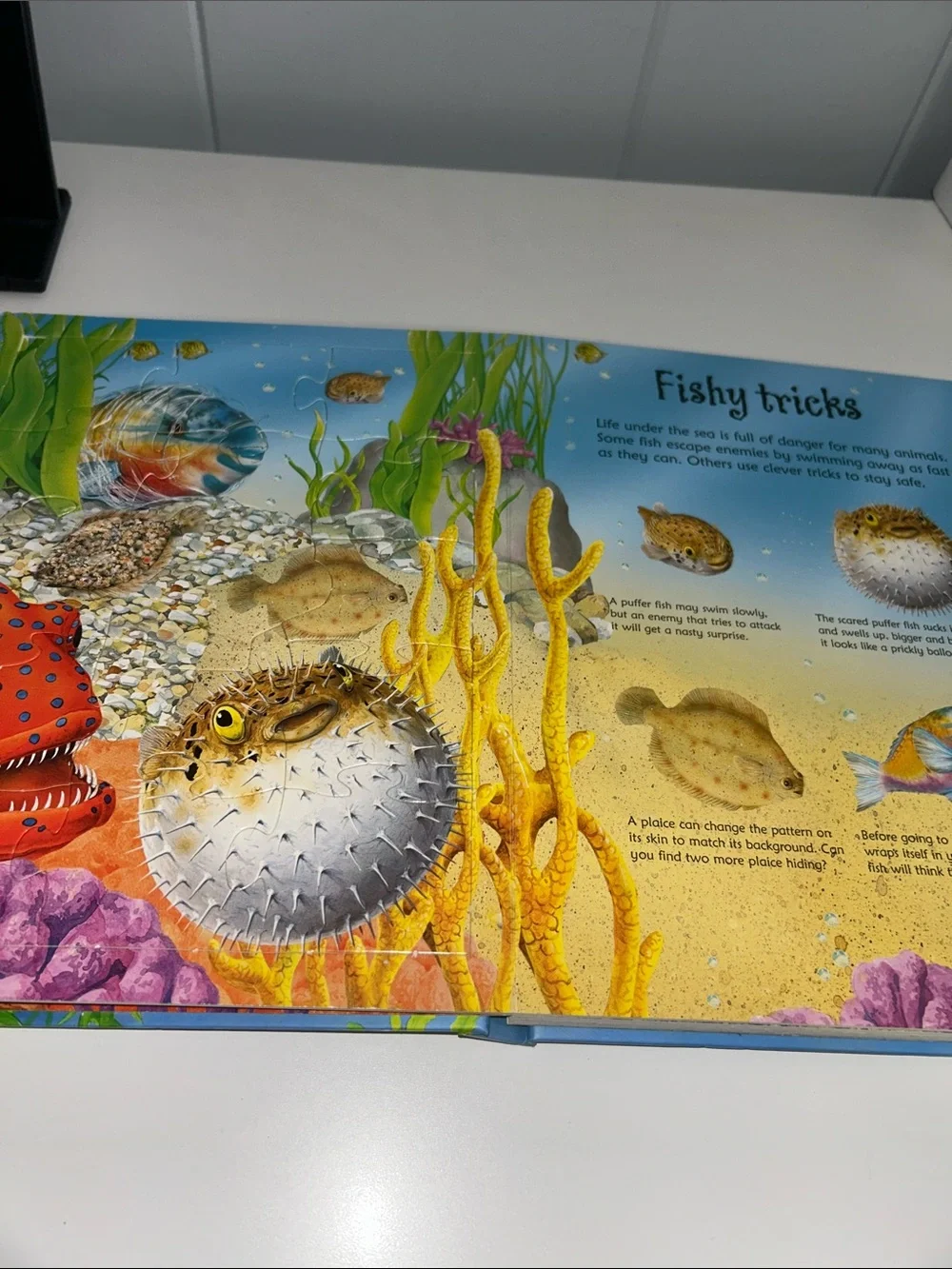 Usborne Under the Sea Jigsaw Large Board Book - Built in Puzzles